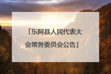 东阿县人民代表大会常务委员会公告