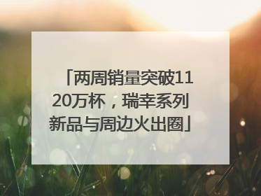 两周销量突破1120万杯，瑞幸系列新品与周边火出圈