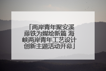 两岸青年聚安溪 藤铁为媒绘新篇 海峡两岸青年工艺设计创新主题活动开幕