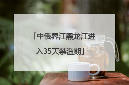 中俄界江黑龙江进入35天禁渔期