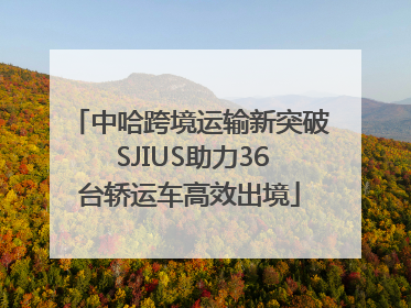 中哈跨境运输新突破 SJIUS助力36台轿运车高效出境