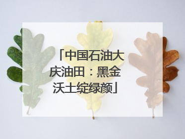 中国石油大庆油田：黑金沃土绽绿颜