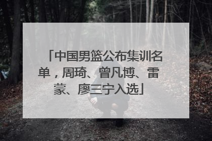 中国男篮公布集训名单，周琦、曾凡博、雷蒙、廖三宁入选