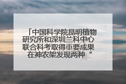 中国科学院昆明植物研究所和深圳兰科中心联合科考取得重要成果 在神农架发现两种“国保”级兰花