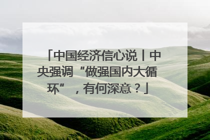 中国经济信心说丨中央强调“做强国内大循环”，有何深意？