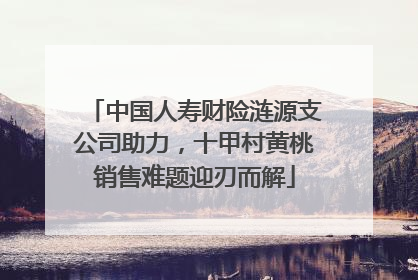 中国人寿财险涟源支公司助力，十甲村黄桃销售难题迎刃而解