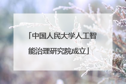 中国人民大学人工智能治理研究院成立