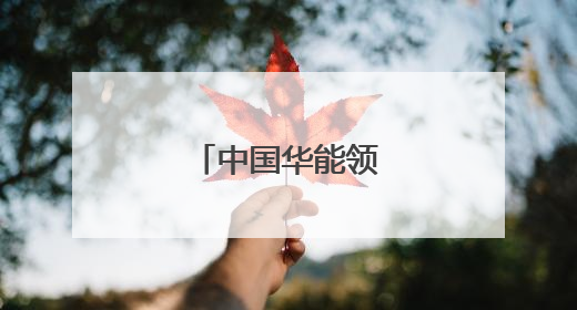 中国华能领导层有调整