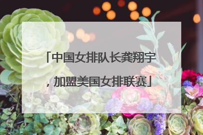 中国女排队长龚翔宇，加盟美国女排联赛