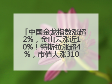 中国金龙指数涨超2%，金山云涨近10%！特斯拉涨超4%，市值大涨3100亿元！比特币涨回11万美元关口