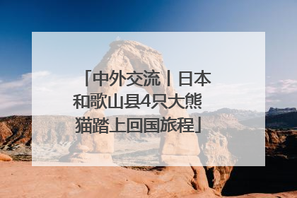 中外交流丨日本和歌山县4只大熊猫踏上回国旅程
