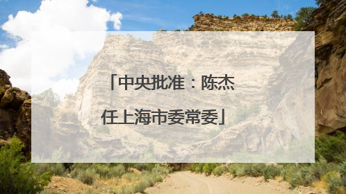 中央批准：陈杰任上海市委常委