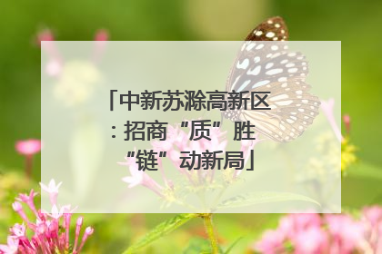 中新苏滁高新区：招商“质”胜 “链”动新局