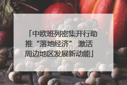 中欧班列密集开行助推“落地经济” 激活周边地区发展新动能