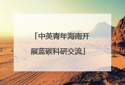 中英青年海南开展蓝碳科研交流