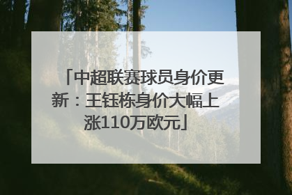 中超联赛球员身价更新：王钰栋身价大幅上涨110万欧元