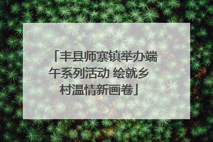 丰县师寨镇举办端午系列活动 绘就乡村温情新画卷