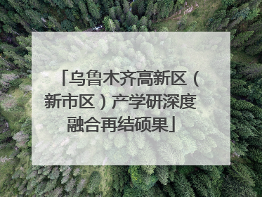 乌鲁木齐高新区（新市区）产学研深度融合再结硕果