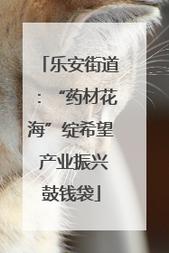 乐安街道：“药材花海”绽希望 产业振兴鼓钱袋