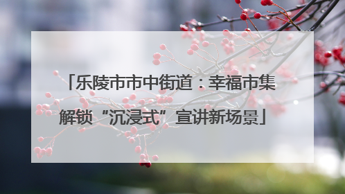 乐陵市市中街道：幸福市集解锁“沉浸式”宣讲新场景