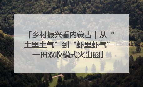 乡村振兴看内蒙古｜从“土里土气”到“虾里虾气” 一田双收模式火出圈