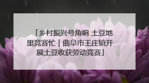 乡村振兴号角响 土豆地里竞赛忙｜曲阜市王庄镇开展土豆收获劳动竞赛