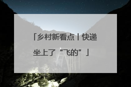 乡村新看点丨快递坐上了“飞的”