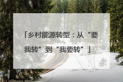 乡村能源转型：从“要我转”到“我要转”