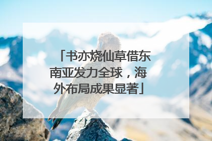 书亦烧仙草借东南亚发力全球，海外布局成果显著