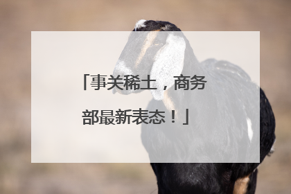 事关稀土，商务部最新表态！