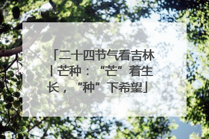 二十四节气看吉林丨芒种：“芒”着生长，“种”下希望