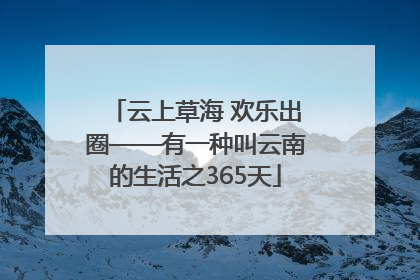 云上草海 欢乐出圈——有一种叫云南的生活之365天