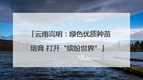 云南嵩明：绿色优质种苗培育 打开“缤纷世界”