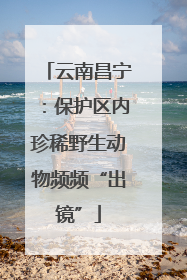云南昌宁：保护区内珍稀野生动物频频“出镜”