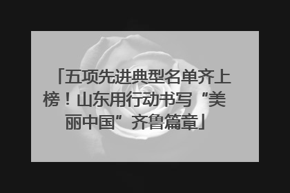 五项先进典型名单齐上榜！山东用行动书写“美丽中国”齐鲁篇章