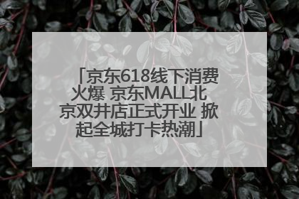 京东618线下消费火爆 京东MALL北京双井店正式开业 掀起全城打卡热潮
