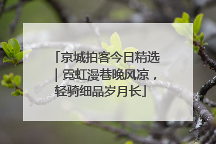京城拍客今日精选｜霓虹漫巷晚风凉，轻骑细品岁月长