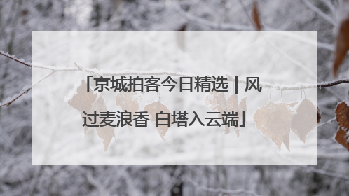 京城拍客今日精选｜风过麦浪香 白塔入云端