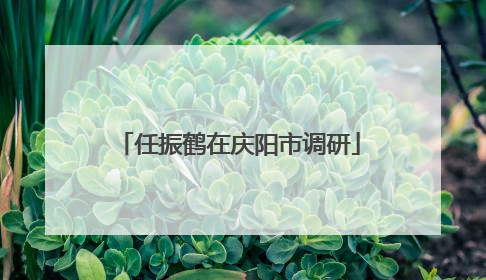 任振鹤在庆阳市调研