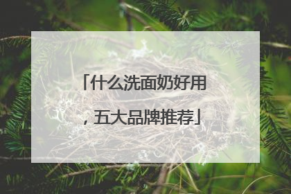 什么洗面奶好用，五大品牌推荐