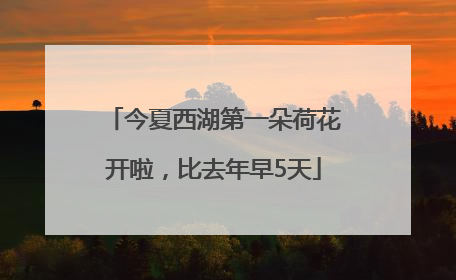 今夏西湖第一朵荷花开啦，比去年早5天