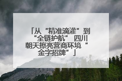 从“精准滴灌”到“全链护航” 四川朝天擦亮营商环境“金字招牌”