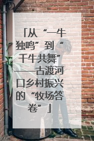 从“一牛独鸣”到“千牛共舞”——古渡河口乡村振兴的“牧场答卷”