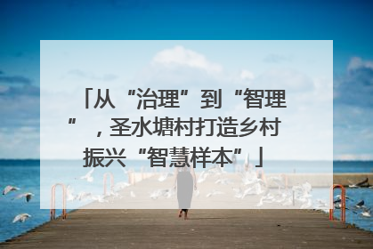 从“治理”到“智理”，圣水塘村打造乡村振兴“智慧样本”