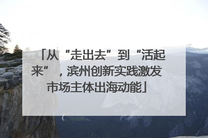 从“走出去”到“活起来”，滨州创新实践激发市场主体出海动能