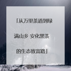 从万里茶道到绿满山乡 安化黑茶的生态致富路
