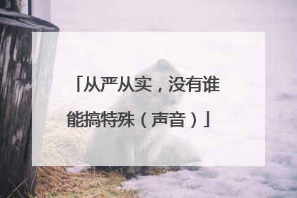 从严从实，没有谁能搞特殊（声音）