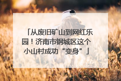 从废旧矿山到网红乐园！济南市钢城区这个小山村成功“变身”