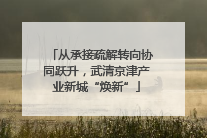 从承接疏解转向协同跃升，武清京津产业新城“焕新”