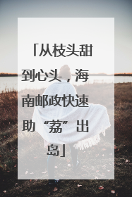 从枝头甜到心头，海南邮政快速助“荔”出岛